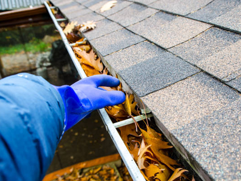 gutter cleaning